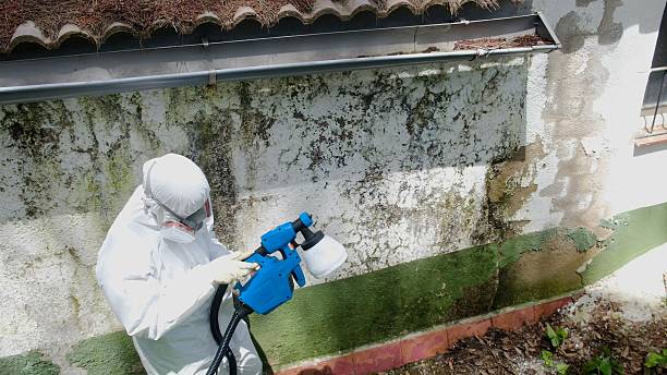Trusted Mold Testing service in Pennsauken, NJ - Cheap Mold Removal